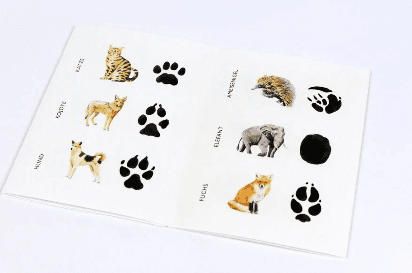 LAURENCE KING VERLAG - Wilden Tieren auf der Spur - 25 Tiere und ihre Pfotenabdrücke Memory Spiel