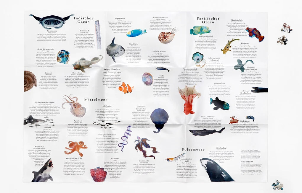 LAURENCE KING VERLAG  In 50 Meerestieren um die Welt - Ein 1000-Teile-Puzzle