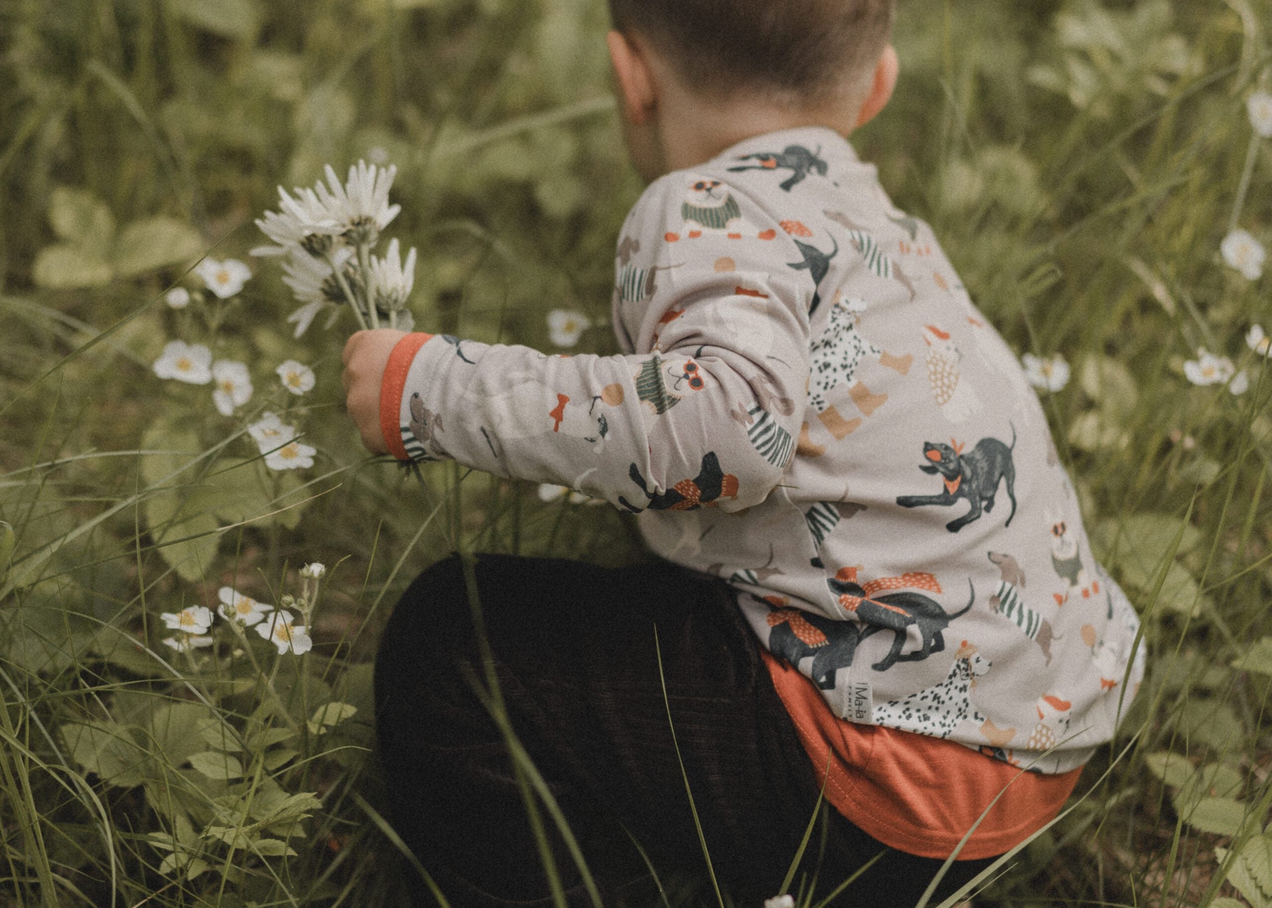 Ma-ia Dogs Hundeprint Langarmshirt beige