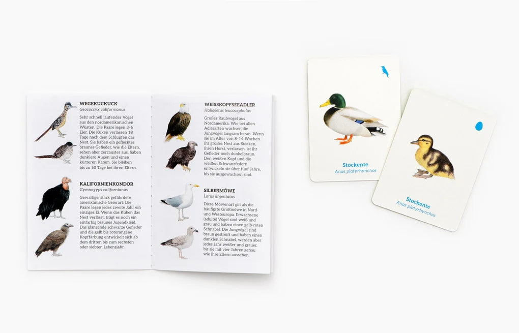 LAURENCE KING VERLAG - Finde das Vogelbaby - Memory ab 6 Jahre