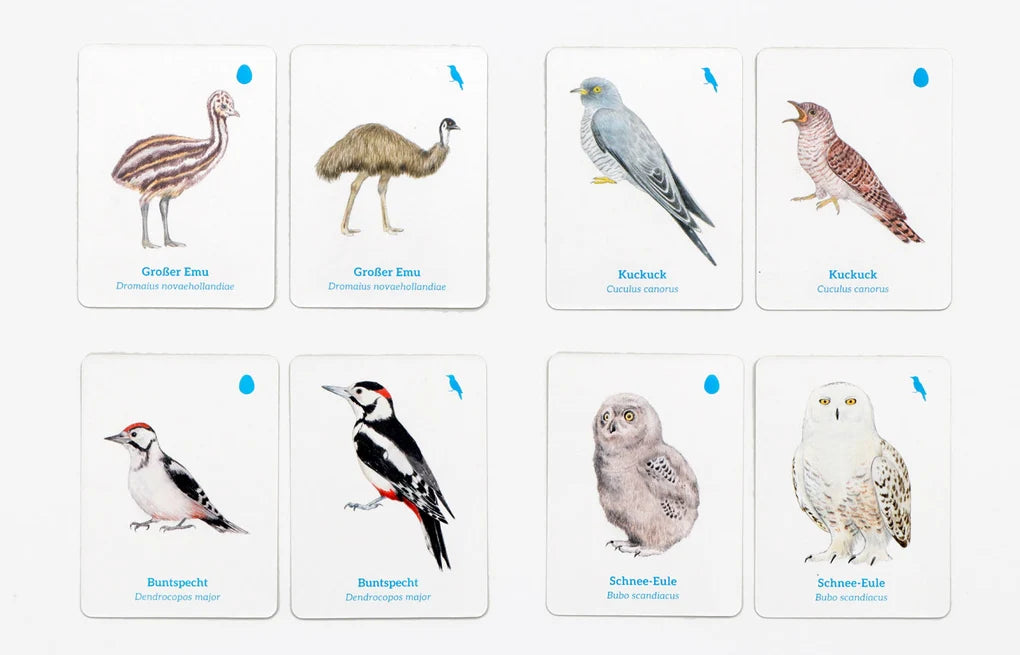 LAURENCE KING VERLAG - Finde das Vogelbaby - Memory ab 6 Jahre