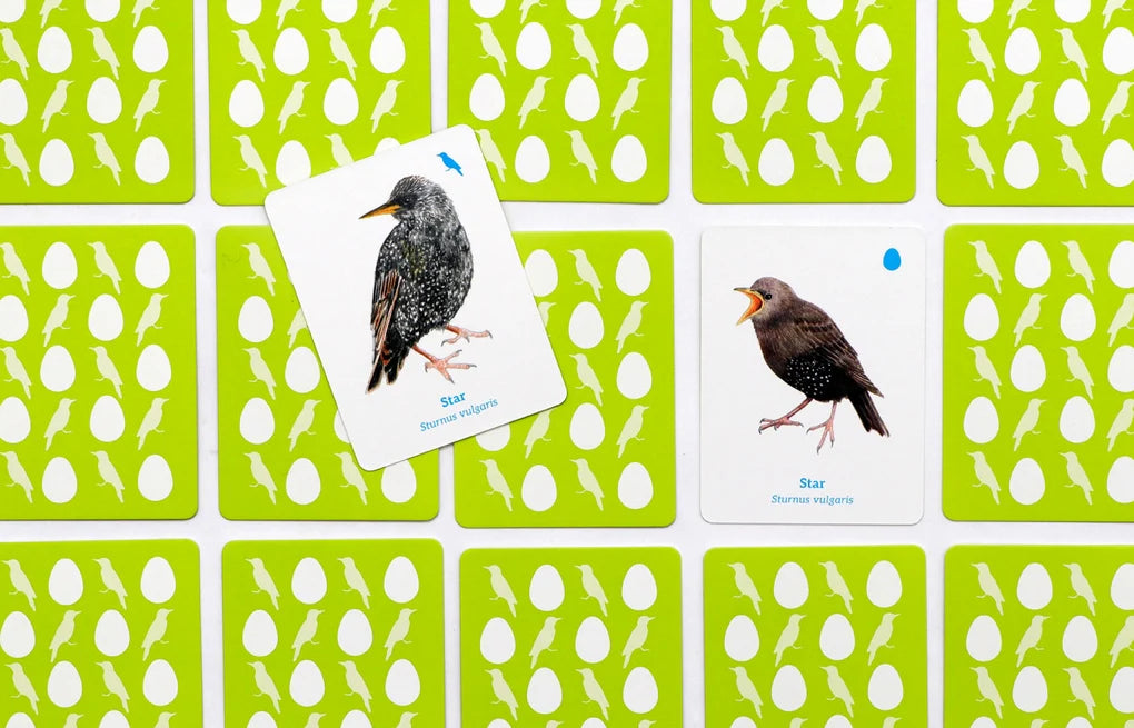 LAURENCE KING VERLAG - Finde das Vogelbaby - Memory ab 6 Jahre