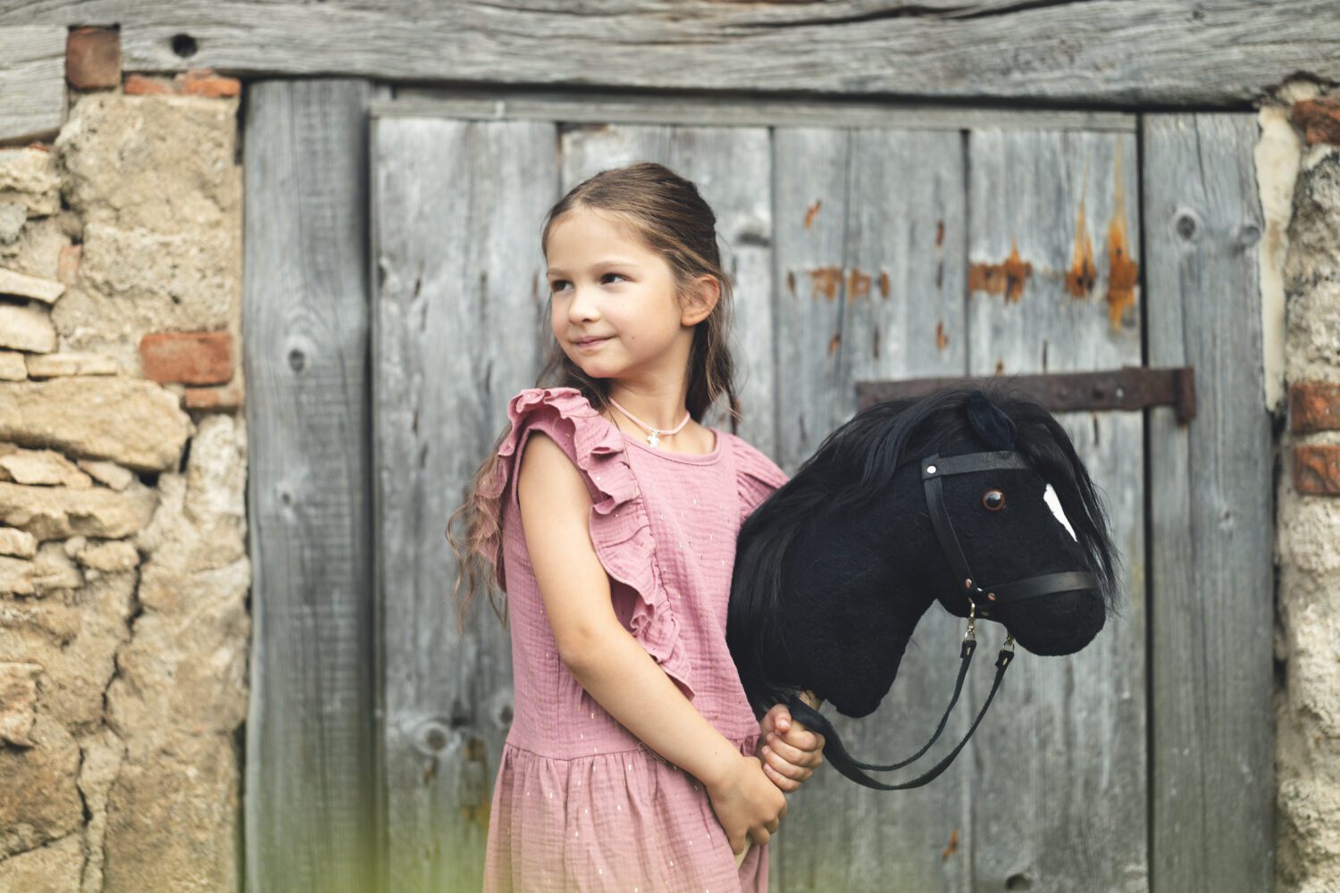 Steckenpferd "Tarik" oder "Black Beauty" schwarz in hochwertigster Verarbeitung