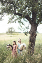 Pat und Patty Steckenpferd "Flicka" hellbraunes Fell mit dunkler Mähne