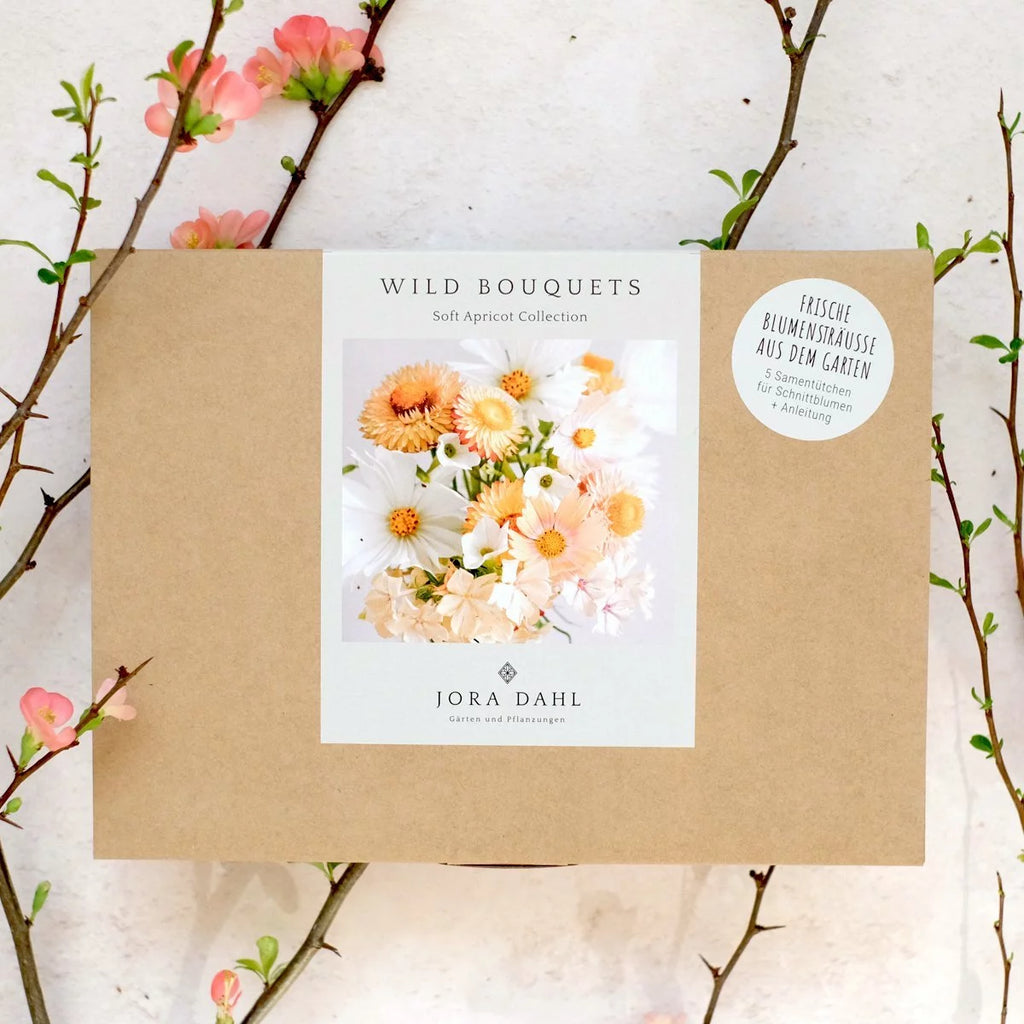 JORA DAHL Saatgutkollektion für Blumensträuße soft apricot