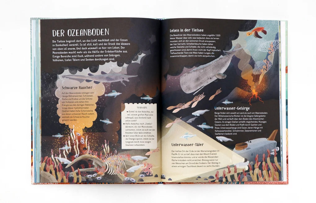 LAURENCE KING VERLAG  Illustriertes Buch Mit Freddi durch die Ozeane