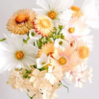 JORA DAHL Saatgutkollektion für Blumensträuße soft apricot